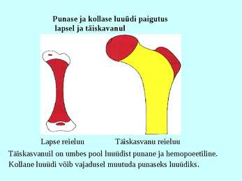 Vereloome e-hemopoees #3