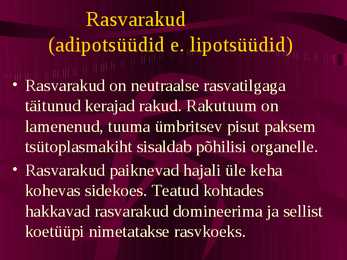 Histoloogia ja embrüoloogia #11