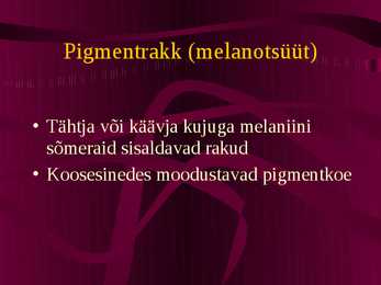 Histoloogia ja embrüoloogia #15