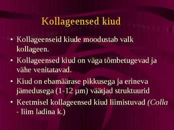 Histoloogia ja embrüoloogia - Sidekoe kiud #3