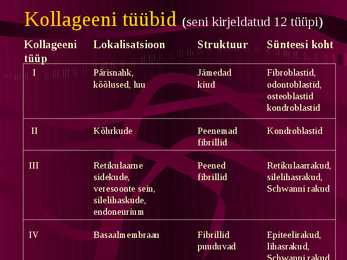 Histoloogia ja embrüoloogia - Sidekoe kiud #9