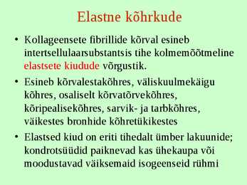 Kõhr- ja luukude #10