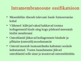 Tugikoed II - Luukude #12