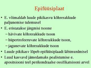 Tugikoed II - Luukude #19