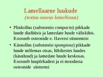 Tugikoed II - Luukude #4