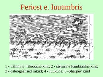 Tugikoed II - Luukude #10