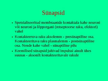 Närvikude #12