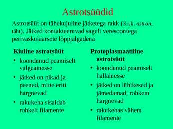 Närvikude #19