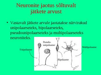 Närvikude #9