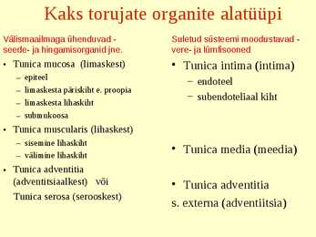 Erihistoloogia-Mikroskoopiline anatoomia #15