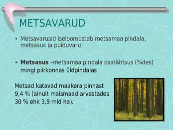 Metsamajandus #2