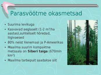 Metsamajandus #11