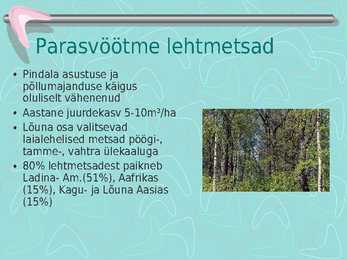 Metsamajandus #14