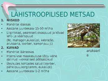 Metsamajandus #15