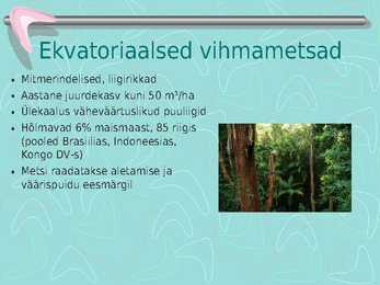 Metsamajandus #16