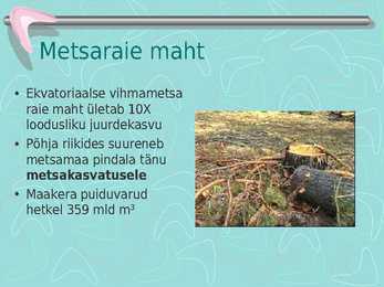 Metsamajandus #18