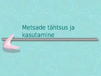 Metsamajandus #19