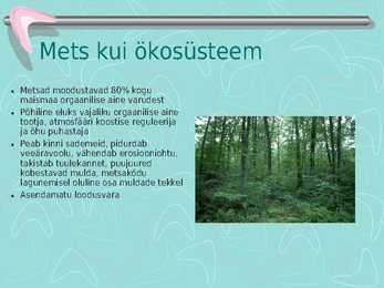 Metsamajandus #20