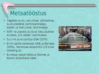 Metsamajandus #22
