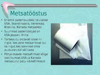 Metsamajandus #23