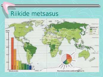 Metsamajandus #4