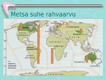 Metsamajandus #5