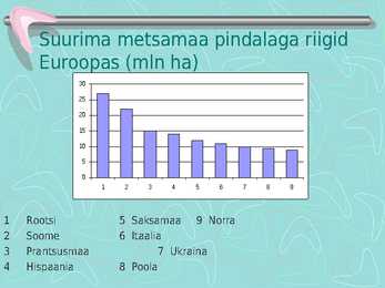 Metsamajandus #7