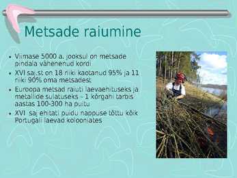 Metsamajandus #9
