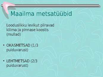 Metsamajandus #10
