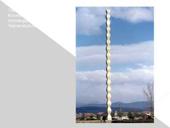 Constantin Brancusi #17