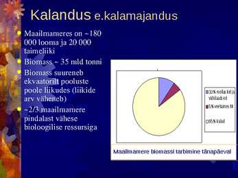 Kalandus #2