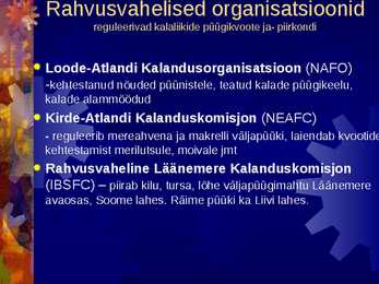 Kalandus #14