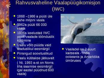 Kalandus #15