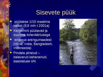 Kalandus #18
