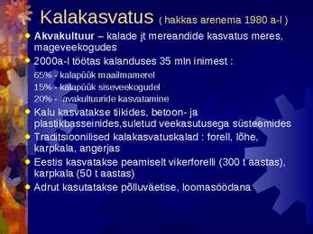 Kalandus #19