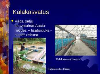 Kalandus #20