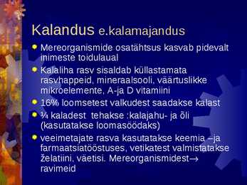 Kalandus #3