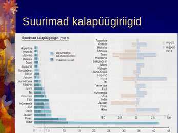 Kalandus #22