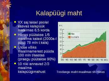 Kalandus #4