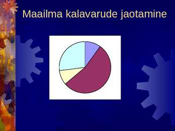 Kalandus #5