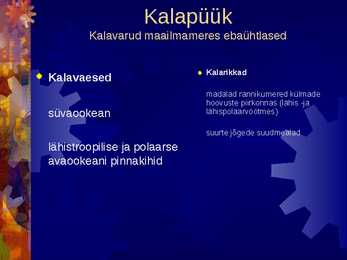Kalandus #6