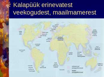 Kalandus #10