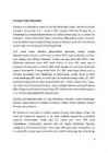 Euroopa liidu referaat #6