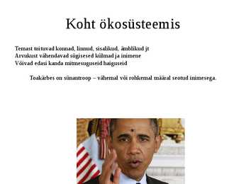 Toakärbes-esitlus #5