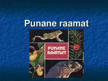 Punane raamat