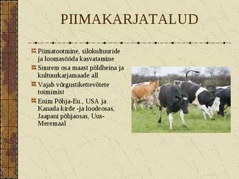 Põllumajandusliku tootmise vormid #7