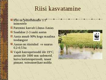 Põllumajandusliku tootmise vormid #9