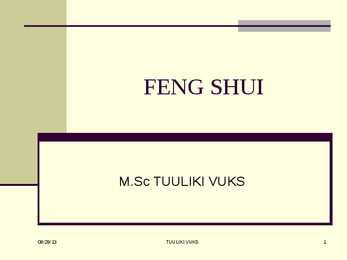 FENG SHUI