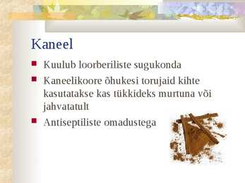 Kodutöö 5 vürtsi-5 ürti #6