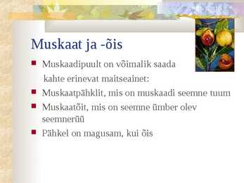 Kodutöö 5 vürtsi-5 ürti #10